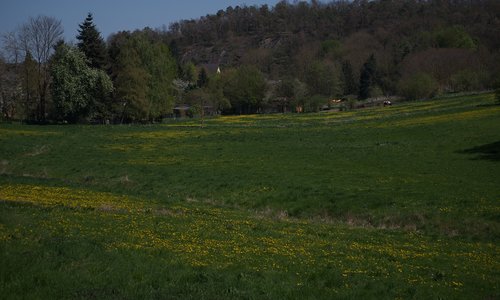 landscape  green  yellow