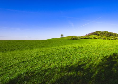 landscape  hill  meadow