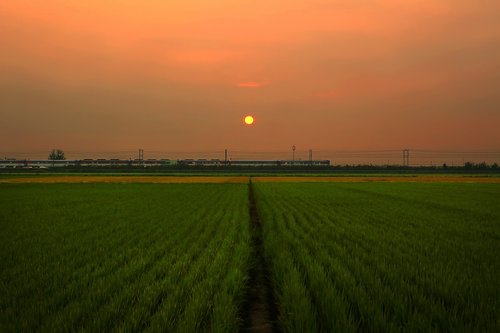 landscape  sunset  train