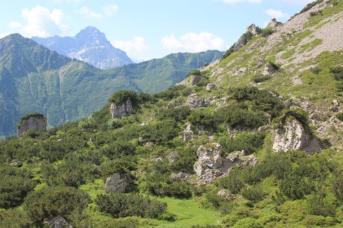 landscape  trees  high mountains