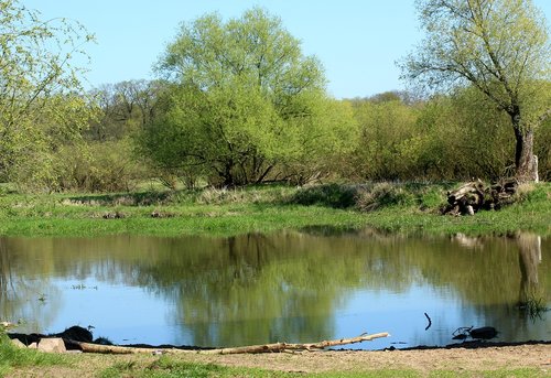 landscape  spring  spring landscape