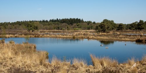 landscape  niederrhein  holland