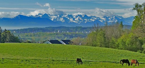 landscape  switzerland  aargau