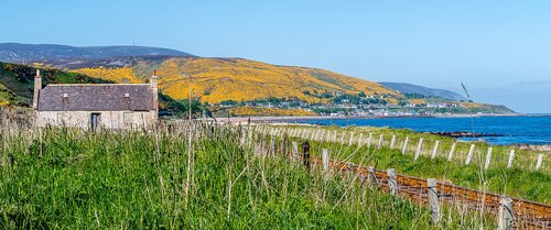 landscape  sea  gorse