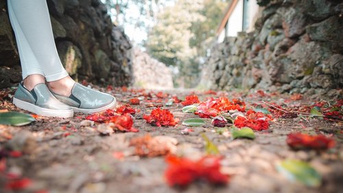 landscape  leaves  autumn