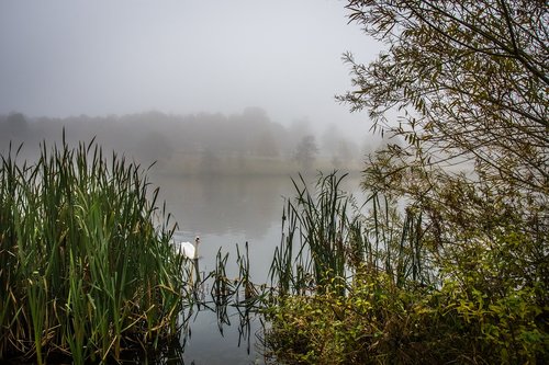 landscape  misty  lake