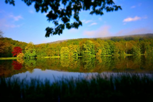 landscape  lake  park