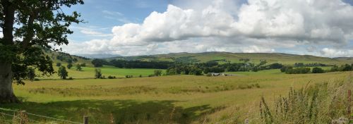 landscape feild horizon