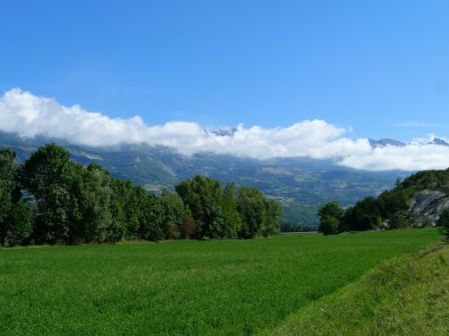 landscape nature field