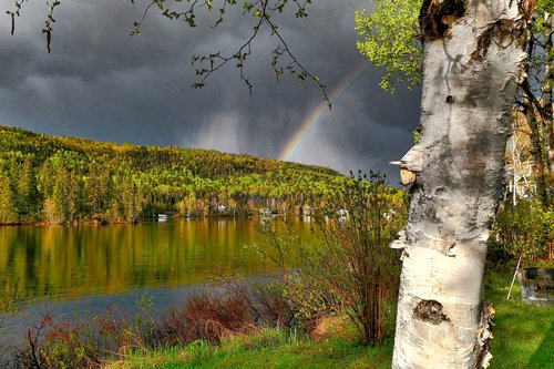 landscape  rainbow  nature