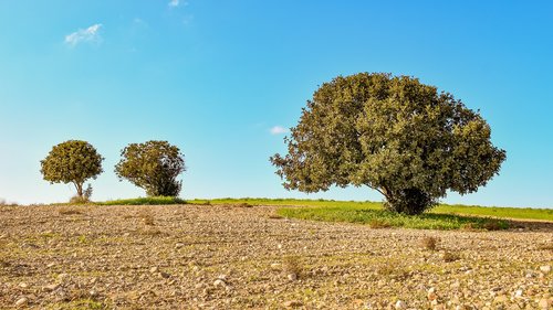 landscape  rural  countryside