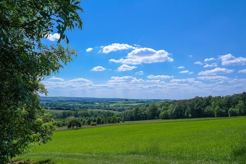 landscape  fields  meadow