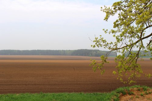 landscape  nature  field
