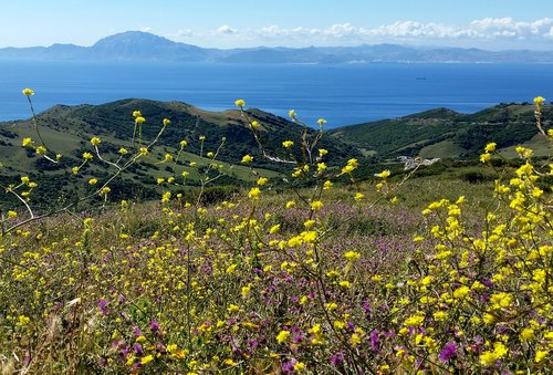 landscape  summer  nature