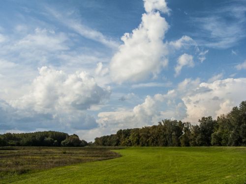 landscape meadow cloudy