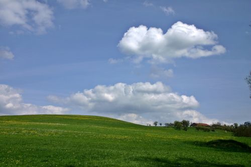 landscape meadow hill