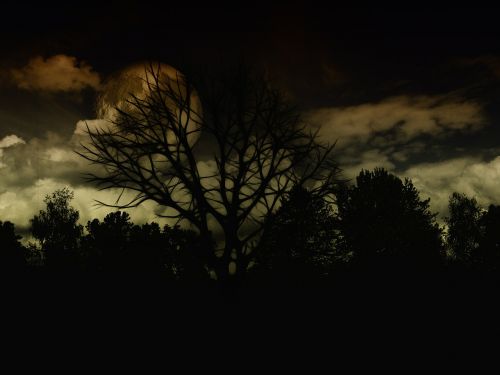 landscape night dark