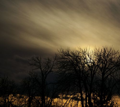 landscape trees clouds