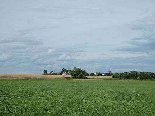 landscape field village