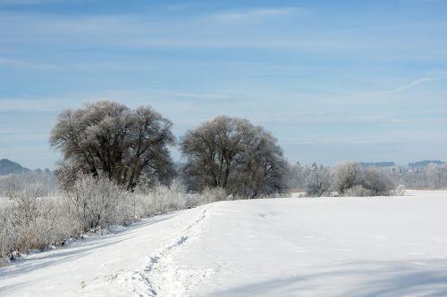 landscape winter snow