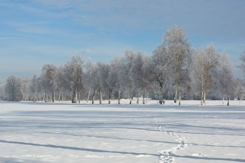 landscape winter snow