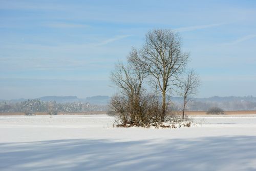 landscape winter snow