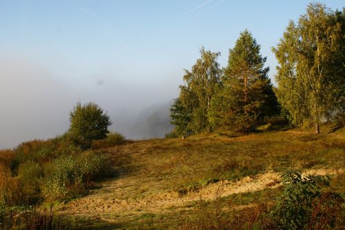 landscape morning mood