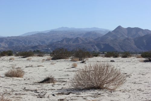 landscape desert palm springs