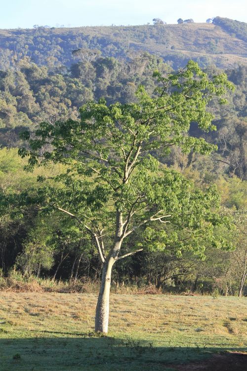 landscape mountain nature