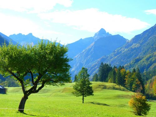 landscape mountains trees