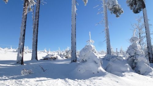 landscape snow šumava