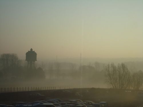 landscape morning trees