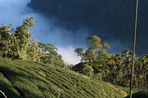 landscape clouds