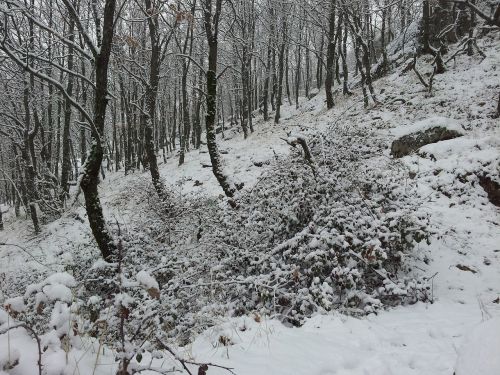 landscape winter snow