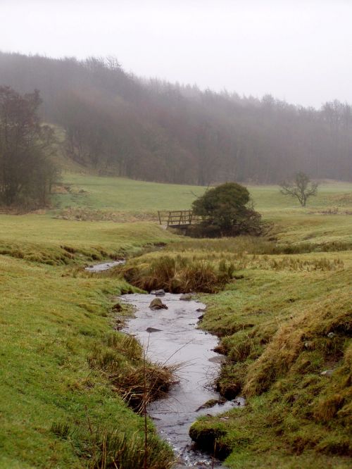 landscape england meadow