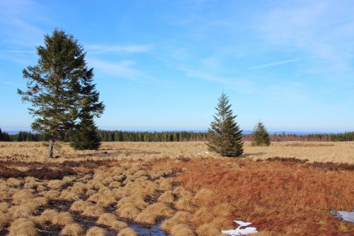 landscape venn belgium