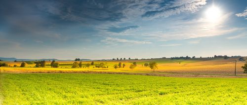 landscape spring fields