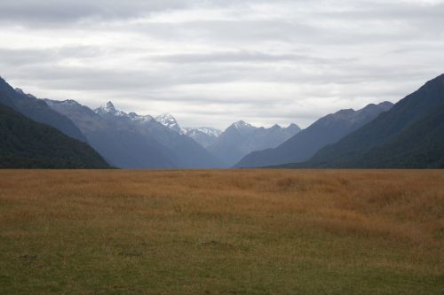 landscape nature meadow