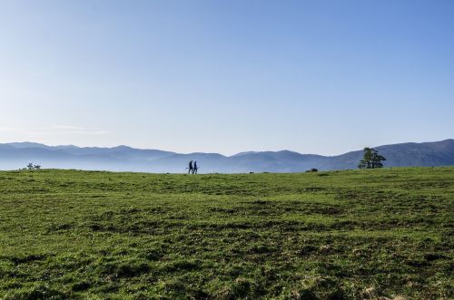 landscape meadow mountains