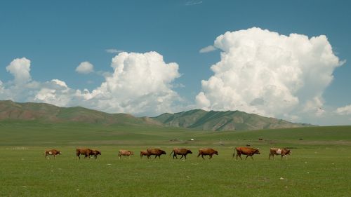 landscape clouds sky