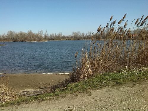 landscape lake spring