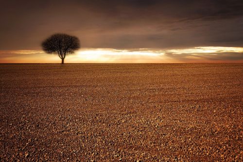 landscape field arable