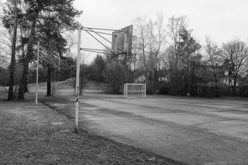 landscape black white basketball