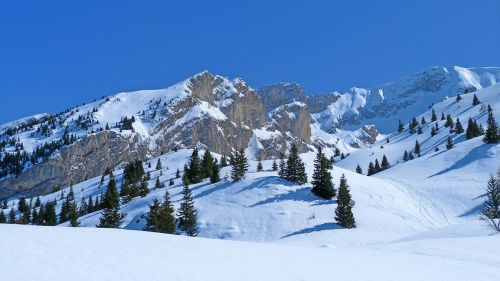 landscape nature winter