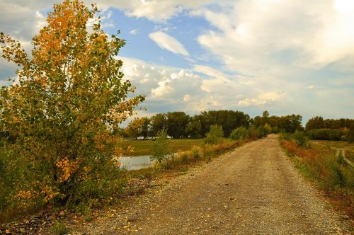 landscape nature fall