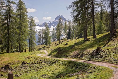 landscape nature trail