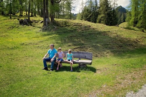 landscape meadow bank