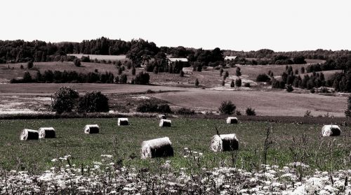 landscape rural farm