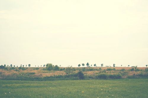 landscape rural meadow