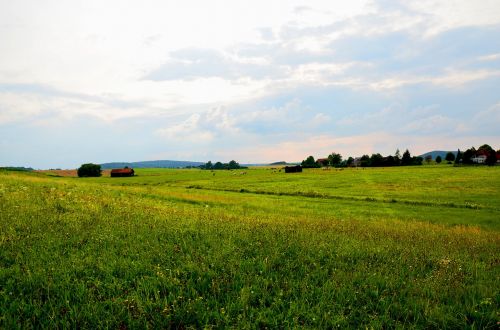 landscape sky grass